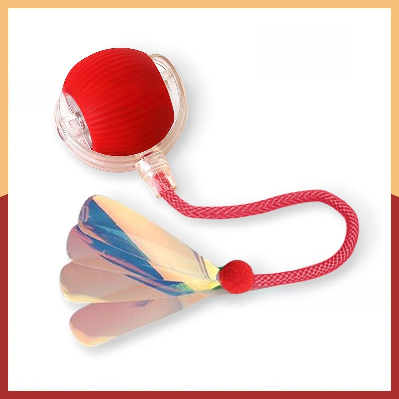 Cat toy ball
