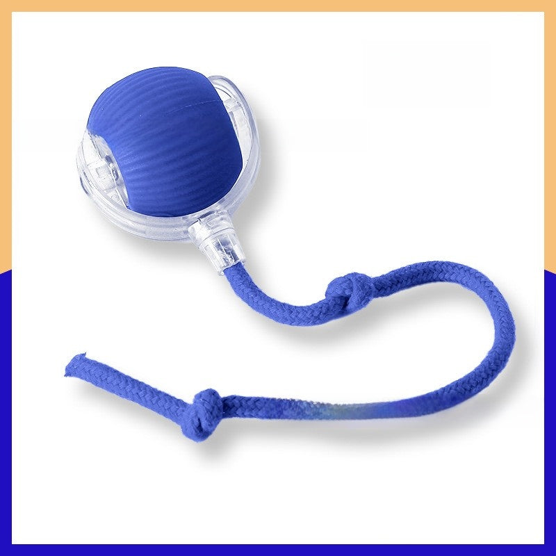 Cat toy ball