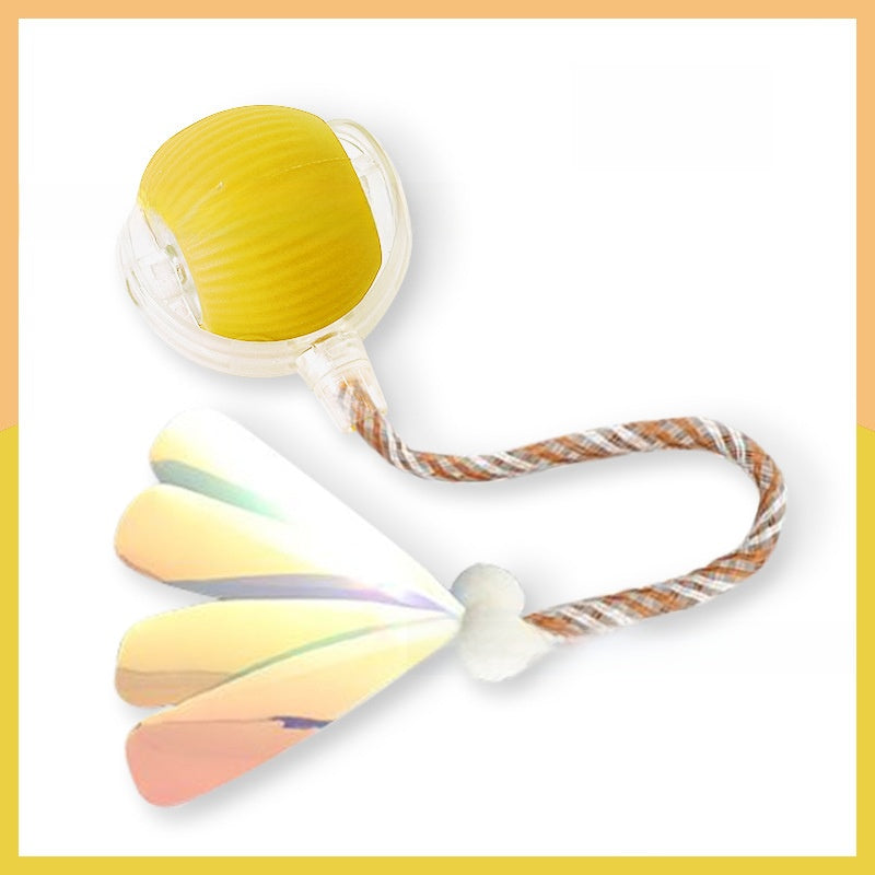 Cat toy ball