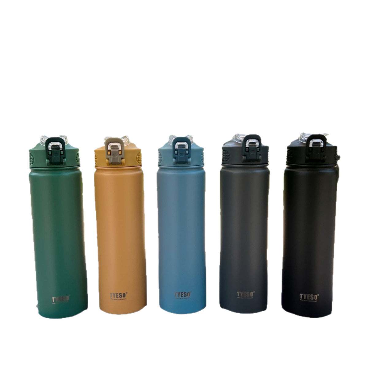 Stainless Steel Vacuum Insulated Water Bottle with Straw Lid
