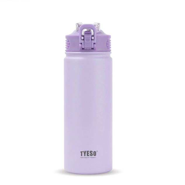 Stainless Steel Vacuum Insulated Water Bottle with Straw Lid