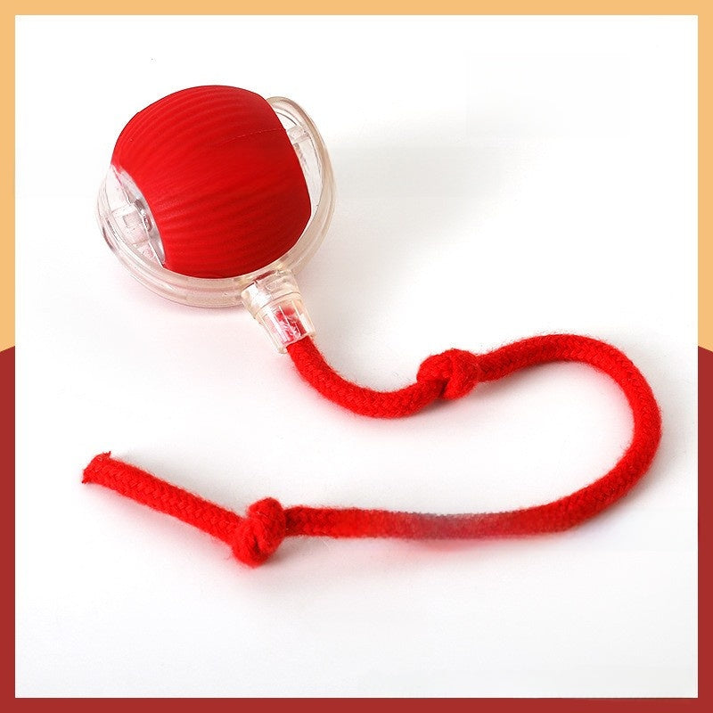Cat toy ball