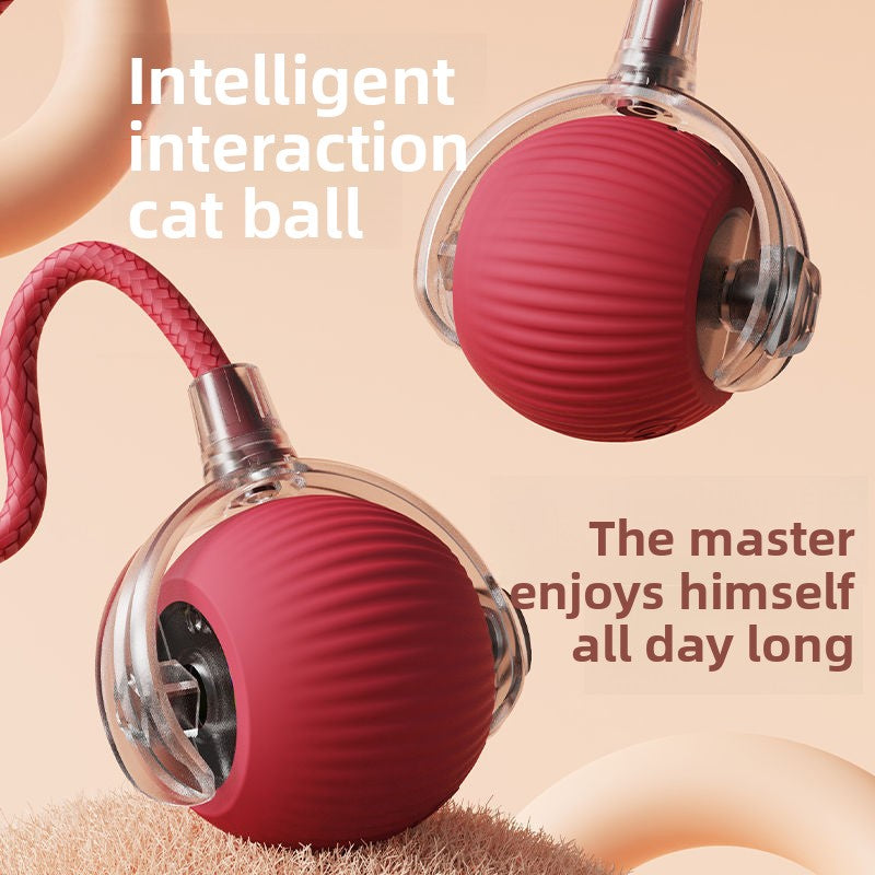 Cat toy ball